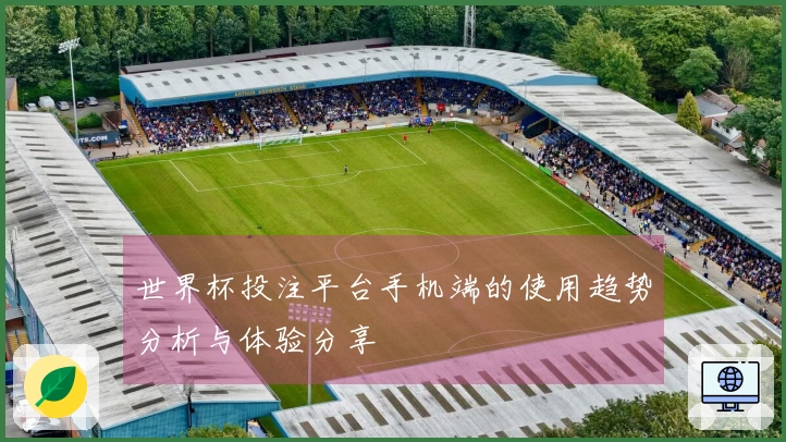 世界杯投注平台手机端的使用趋势分析与体验分享