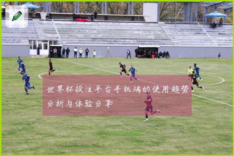 世界杯投注平台手机端的使用趋势分析与体验分享