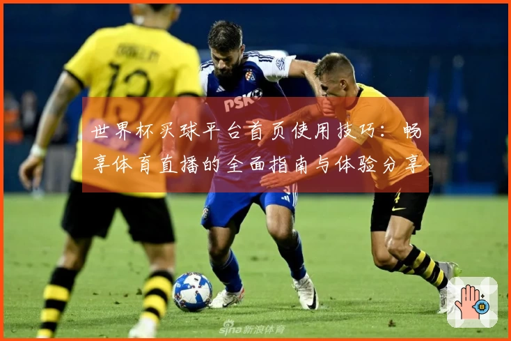 世界杯买球平台首页使用技巧：畅享体育直播的全面指南与体验分享