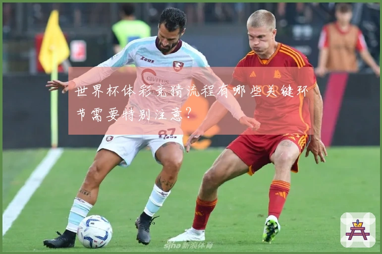 世界杯体彩竞猜流程有哪些关键环节需要特别注意？
