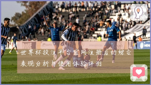 世界杯投注平台官网注册后的综合表现分析与使用体验评测