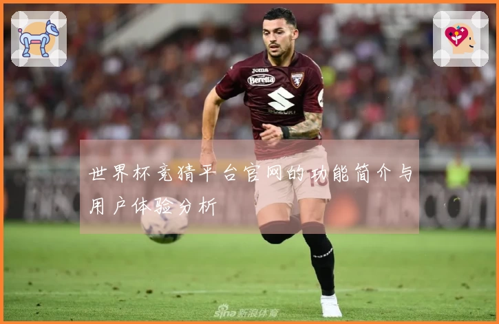世界杯竞猜平台官网的功能简介与用户体验分析