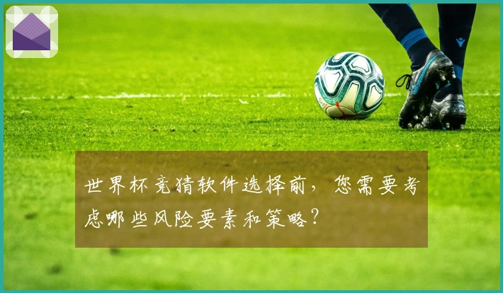 世界杯竞猜软件选择前,您需要考虑哪些风险要素和策略?