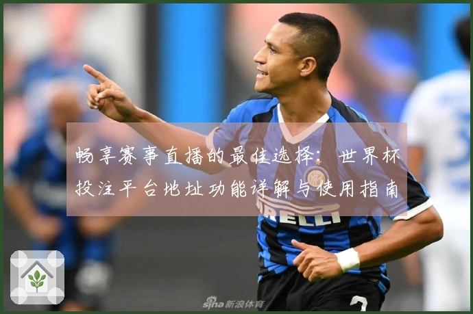 畅享赛事直播的最佳选择：世界杯投注平台地址功能详解与使用指南