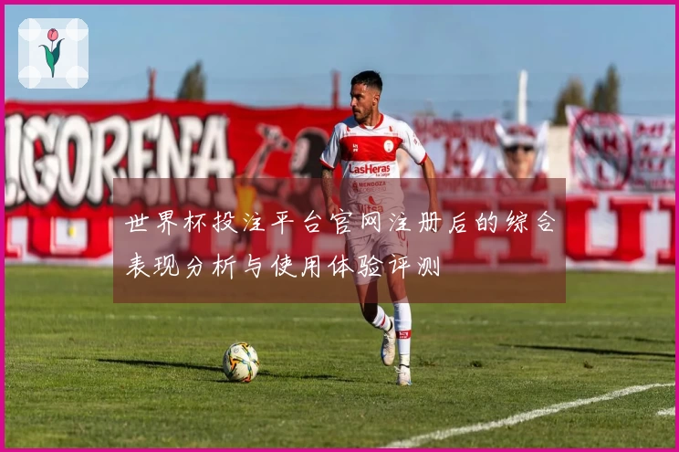 世界杯投注平台官网注册后的综合表现分析与使用体验评测