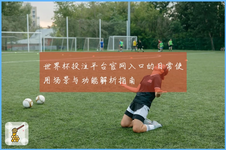 世界杯投注平台官网入口的日常使用场景与功能解析指南