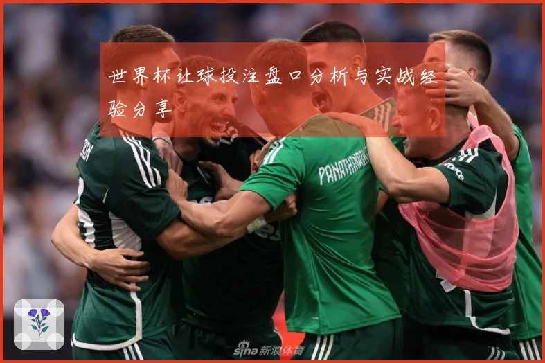 世界杯让球投注盘口分析与实战经验分享